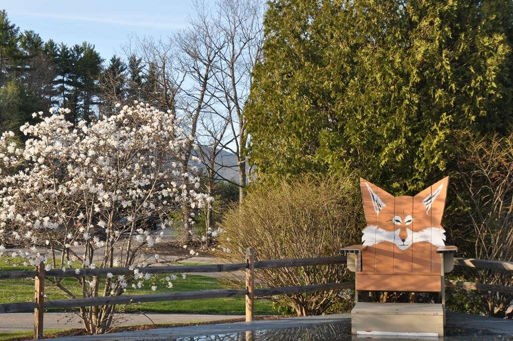 Fox Ridge Resort