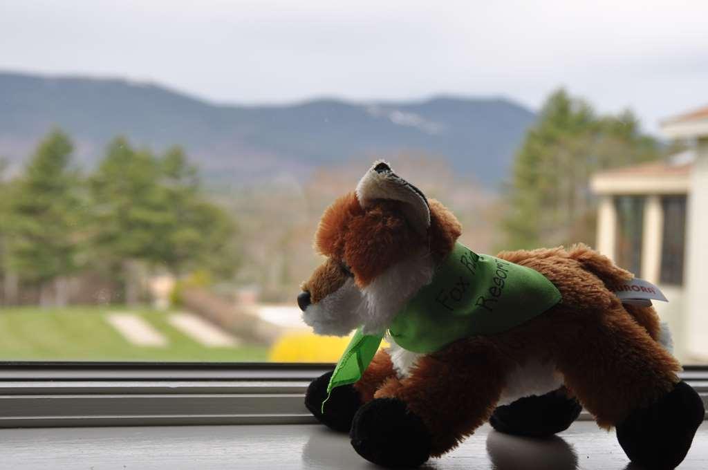 Fox Ridge Resort North Conway