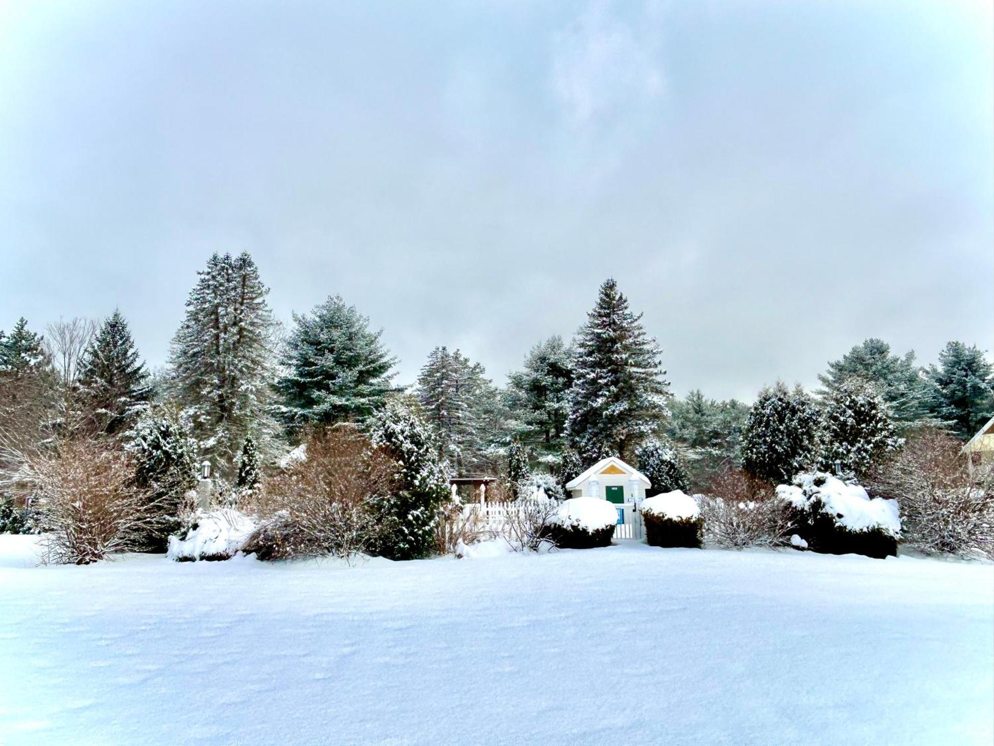 Golden Gables Motel North Conway