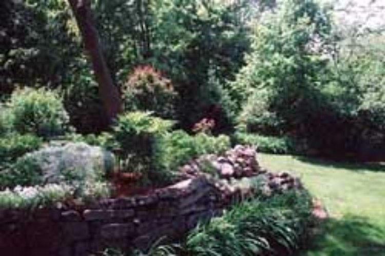 Bed & Breakfast Red Elephant 3*